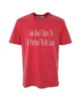 Men's Red Journey M`s T-shirt Regular S/s/ You Don`t Have To Be Perfect